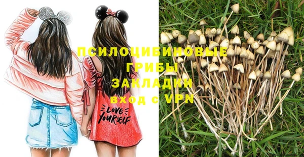 гидра Алзамай