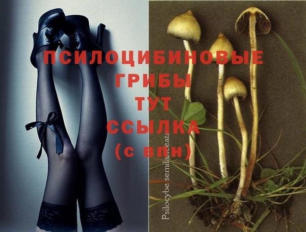 круглые Алексин
